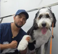 Groomer